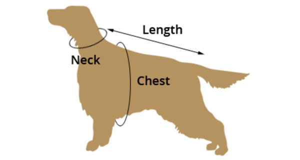 Card image showing how to measure your dog